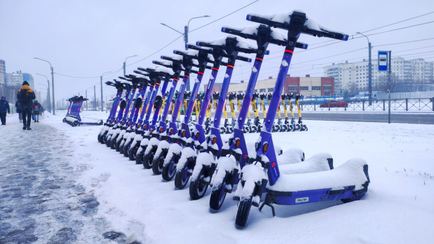 Ряд фиолетовых электросамокатов на заснеженном тротуаре