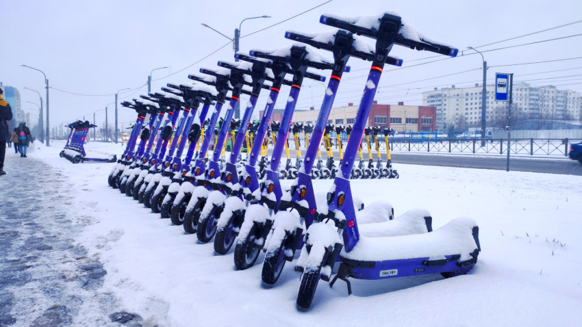 Фиолетовые электросамокаты в ряд на фоне жилых кварталов