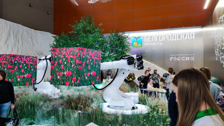 Роботизированные панели и интерактивная зона на стенде Белгородской области
