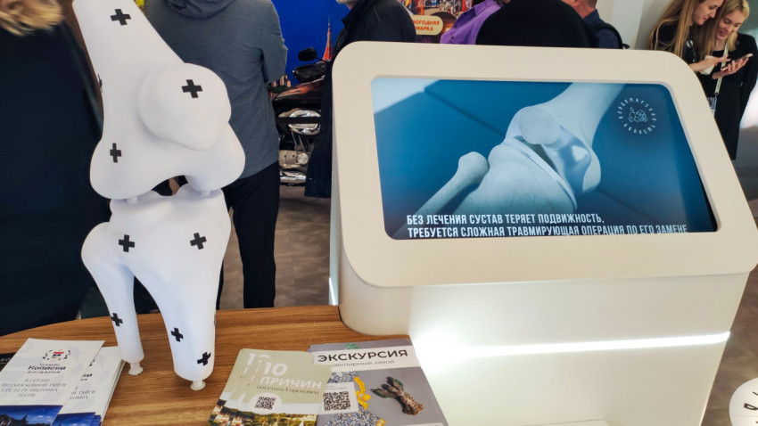 Модель коленного сустава и информационная панель на выставке «Россия»