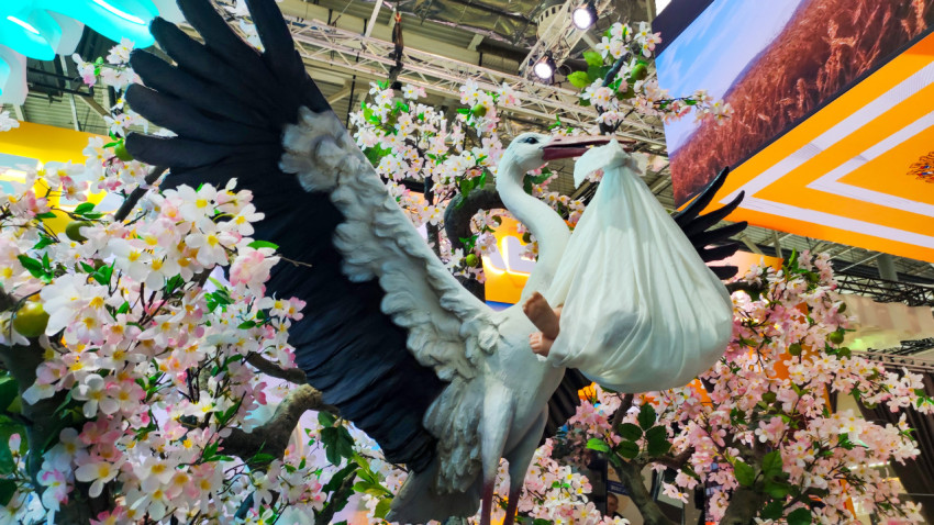 Инсталляция аиста с корзиной на стенде региона на выставке «Россия»