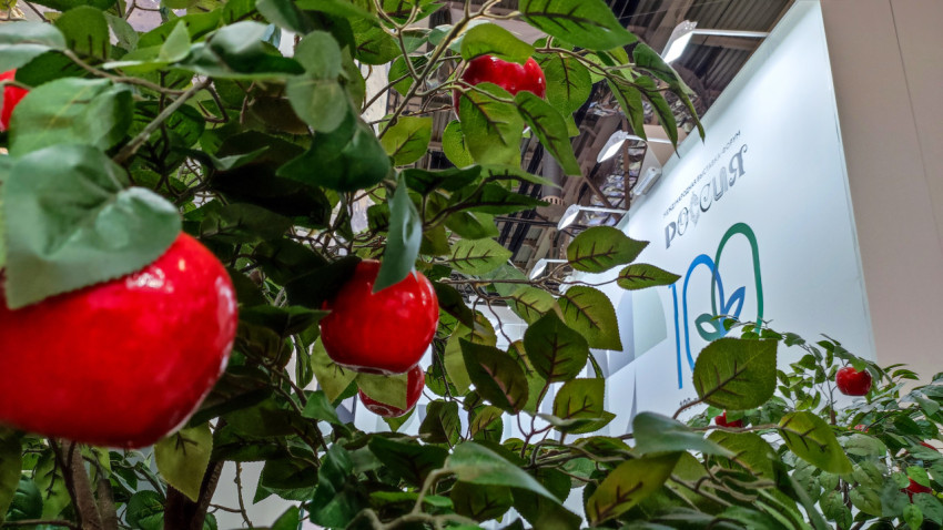 Декоративные яблоки в ветвях искусственного дерева на выставке