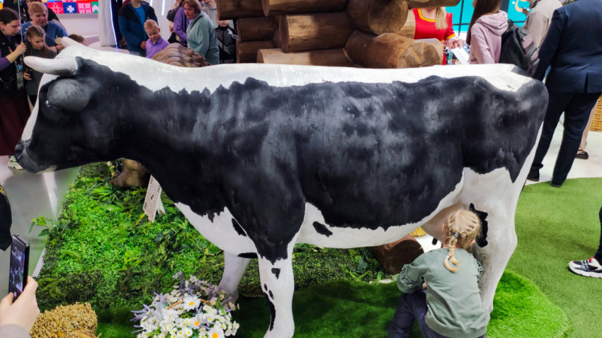 Посетители у макета коровы на региональном стенде ВДНХ