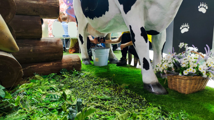 Интерактивная зона с имитацией доения коровы на выставочном стенде