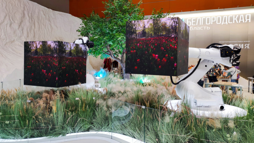 LED-кубы на роботизированных манипуляторах в ландшафтной экспозиции