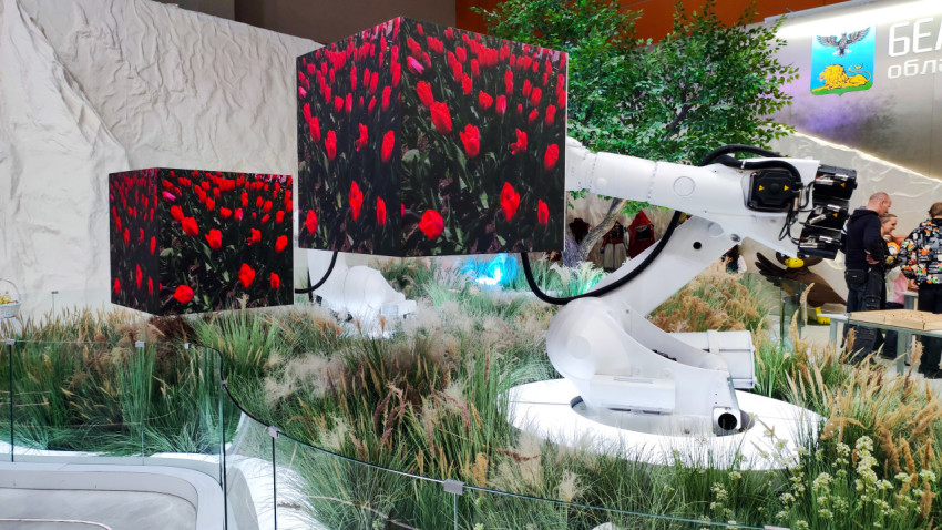 LED-кубы на роботизированных манипуляторах в ландшафтной зоне Белгородской области