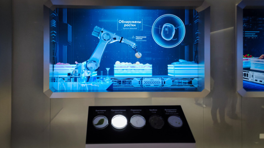 Роботизированная система выявления дефектов продуктов на мультимедийном экране