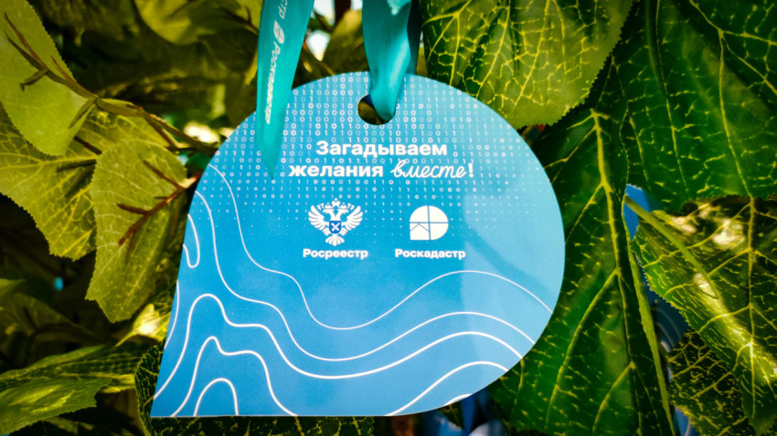 Бирка с пожеланиями на дереве желаний Росреестра