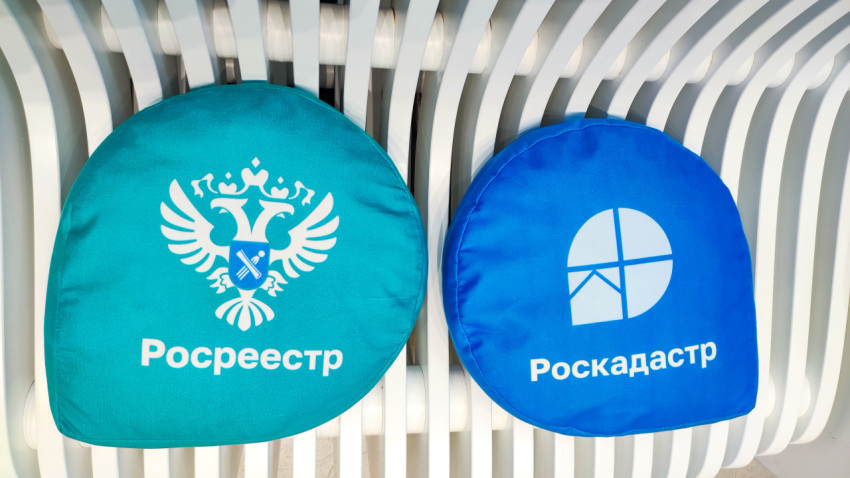 Подушки с логотипами Росреестра и Роскадастра на белой лавке