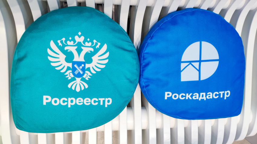 Фирменные подушки Росреестра и Роскадастра, размещённые на выставочной лавке