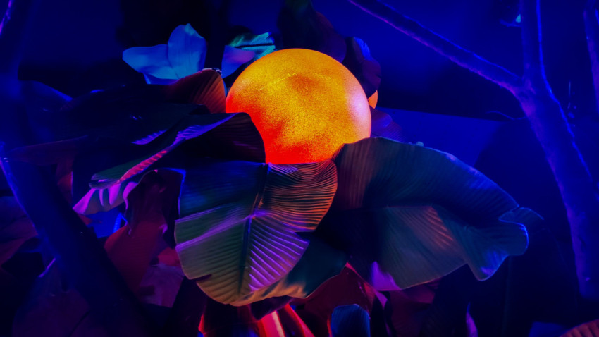 Освещённый декоративный плод среди искусственных листьев