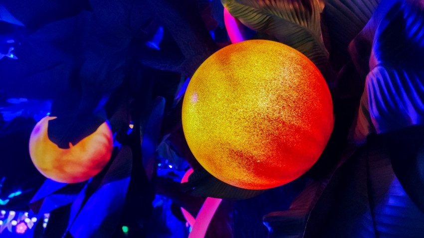 Крупный декоративный плод в зоне подсветки выставочной инсталляции