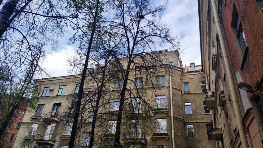 Фасад жилого дома с балконами и деревьями в тесной застройке