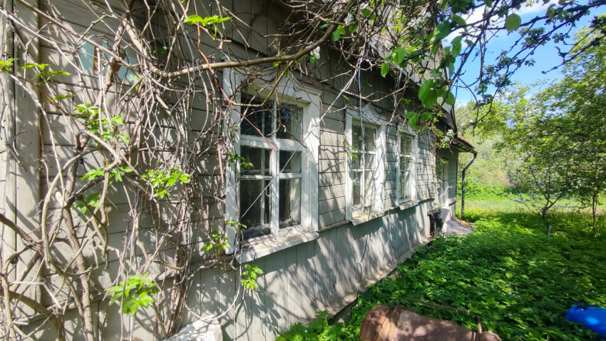 Деревянный дом с заросшим фасадом и старыми окнами