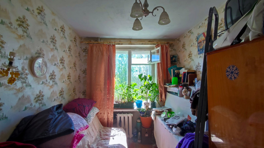 Комната с диваном, растениями на окне и настенными часами