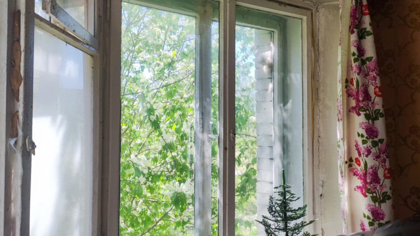 Окно с видом на зелёные ветви и цветочную штору