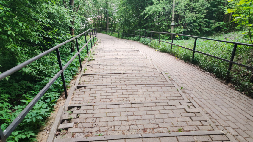 Лестничный спуск с перилами в зелёной лесной зоне