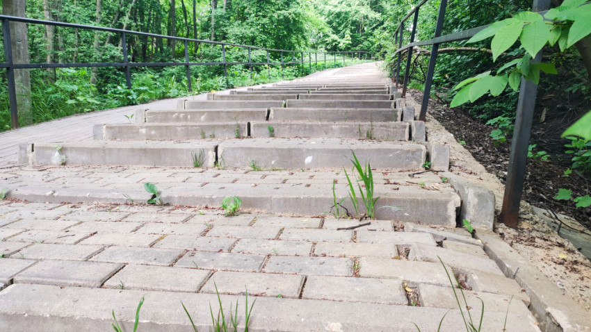 Лестничный спуск в лесопарковой зоне с неровными ступенями