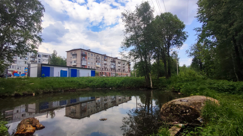 Пруд у жилых домов с отражением зданий в воде
