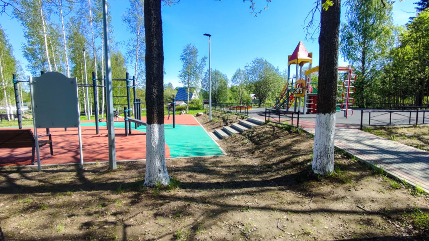 Игровая площадка и спортивная зона с побелёнными деревьями