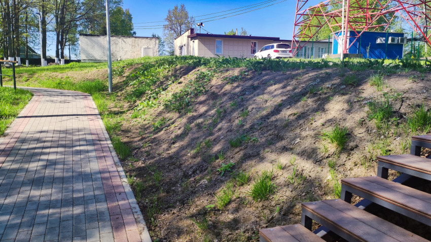 Пешеходная дорожка с лестницей и уклоном грунта