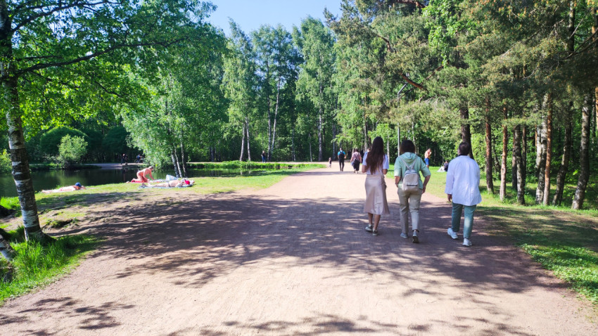 Прогулочная дорожка в лесопарке рядом с водоёмом