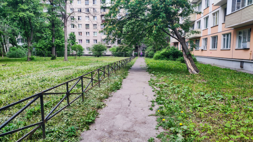 Асфальтированная дорожка во дворе жилых домов с ограждением