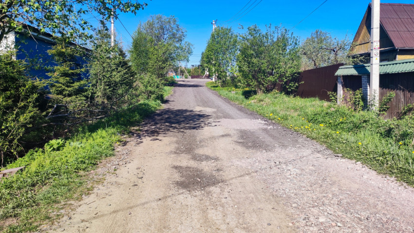 Грунтовая улица частного сектора с участками и зелёными насаждениями