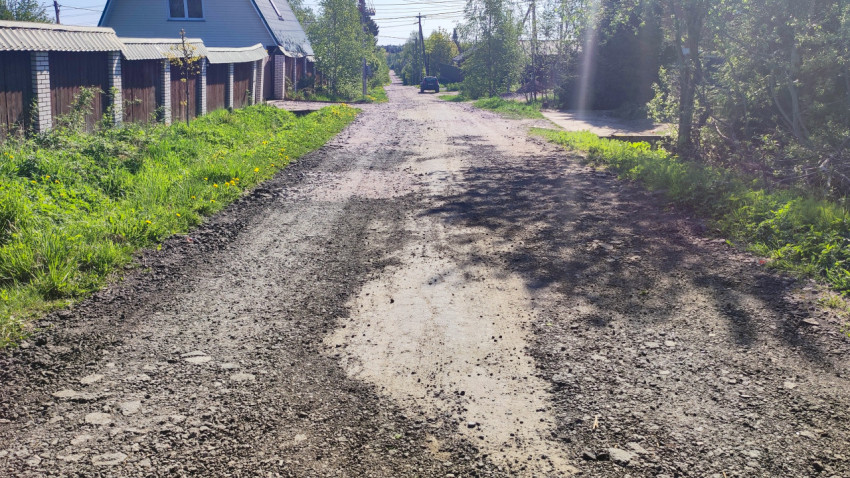 Участок просёлочной дороги с частными домами и зелёной растительностью