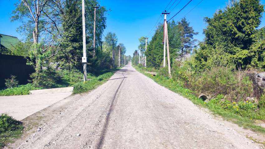 Просёлочная улица с плотной растительностью и опорами электросетей