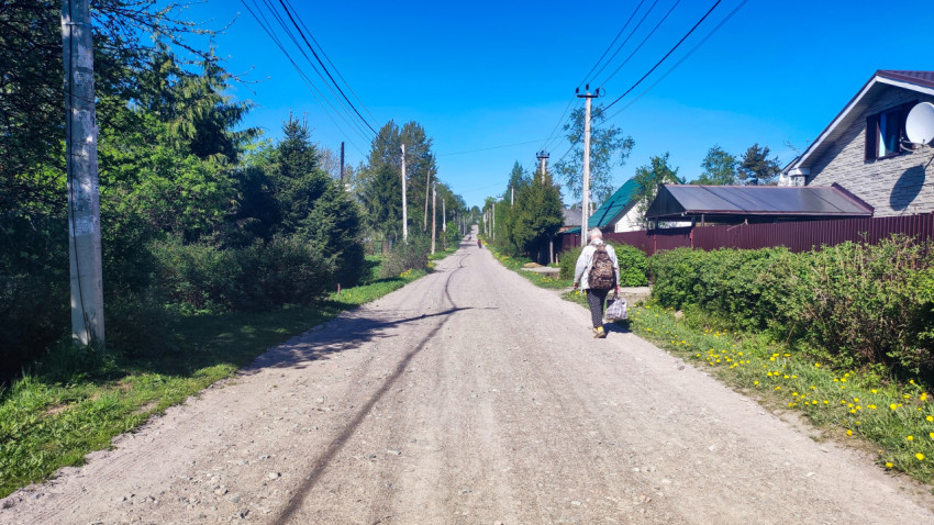 Грунтовая дорога с пешеходом и частной застройкой по обеим сторонам