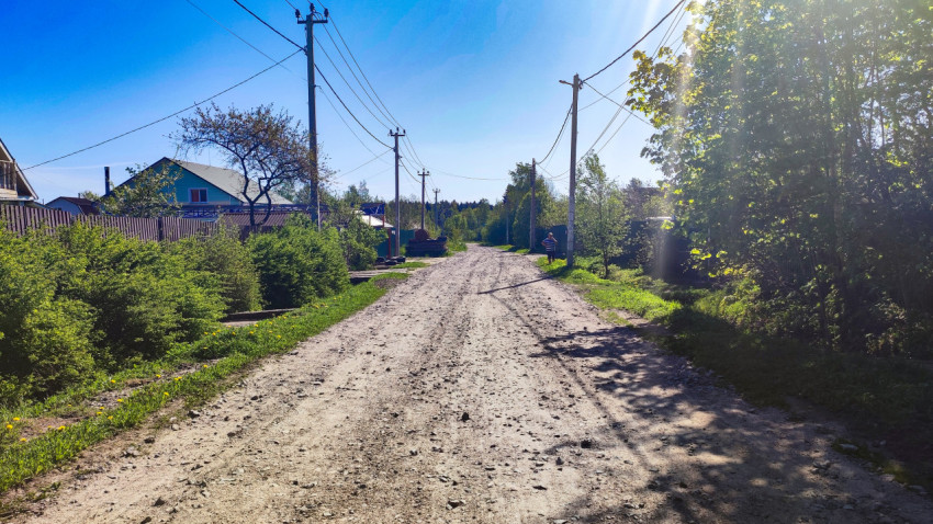 Просёлочная дорога с жилыми домами и зелёными насаждениями в пригороде