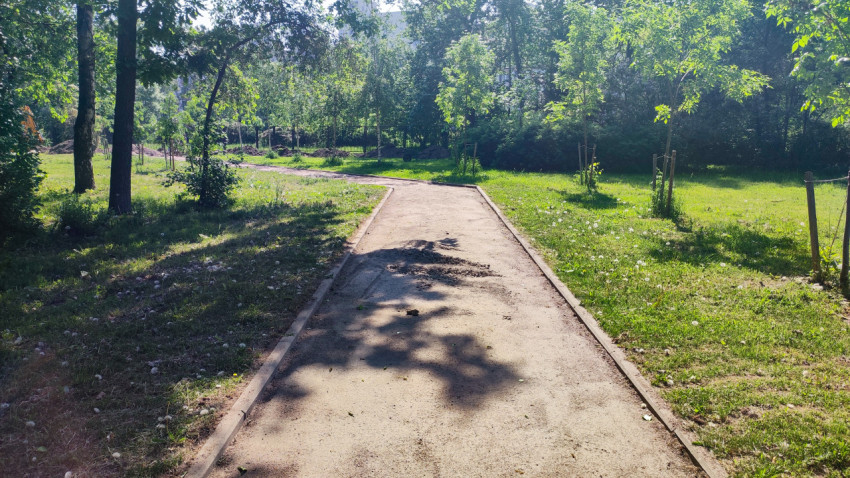 Пешеходная дорожка в парковой зоне с тенью деревьев