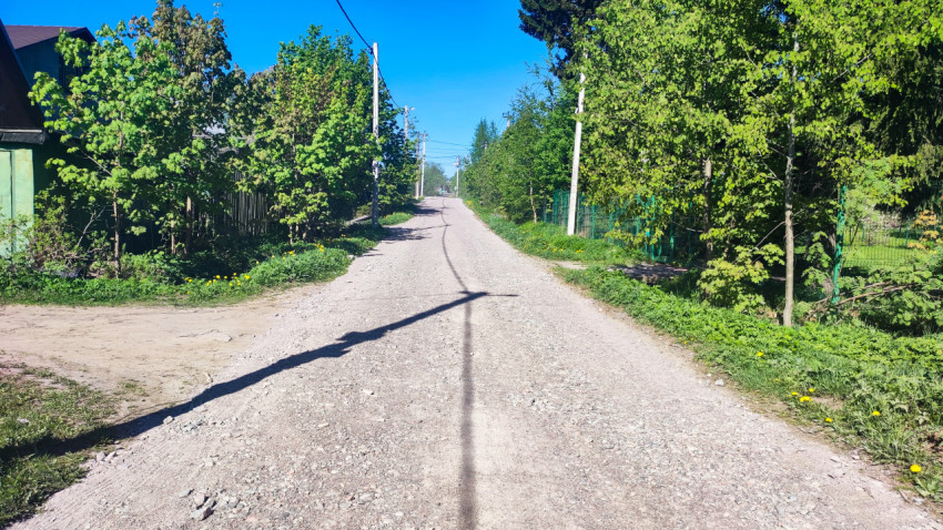 Прямая загородная улица с грунтовым покрытием и плотной зелёной растительностью