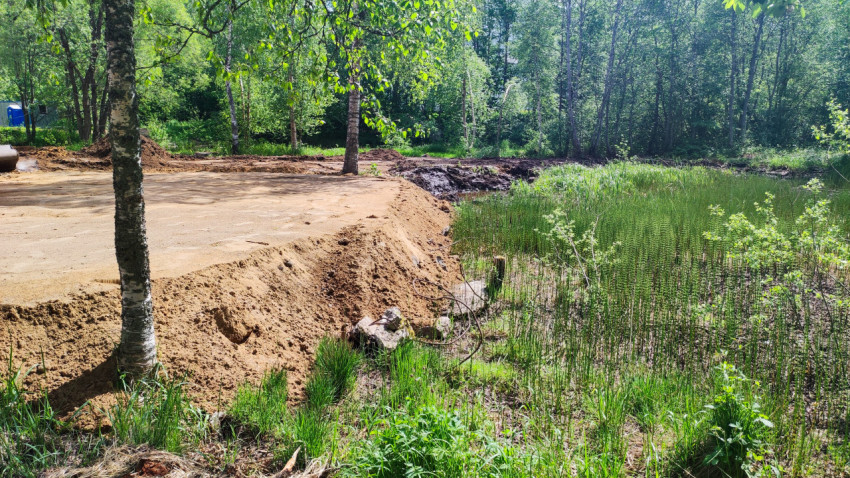 Песчаный откос и лесная зона рядом со строительной площадкой