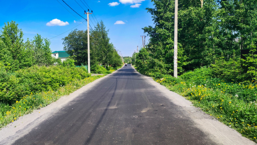 Асфальтированная улица с загородной застройкой и зелёными насаждениями