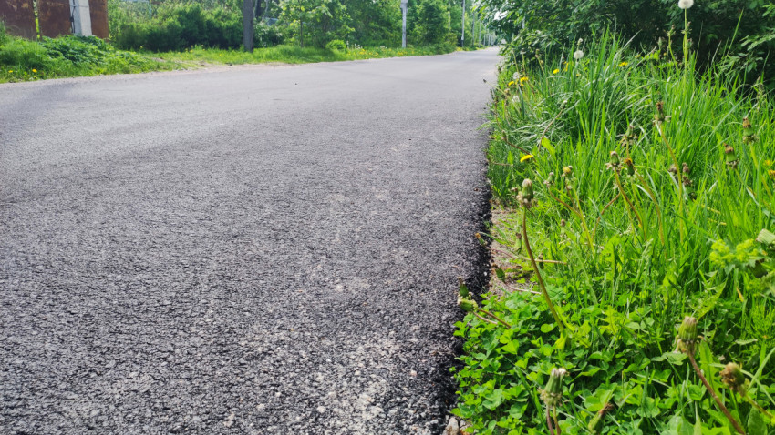 Участок нового асфальтового покрытия рядом с растительностью