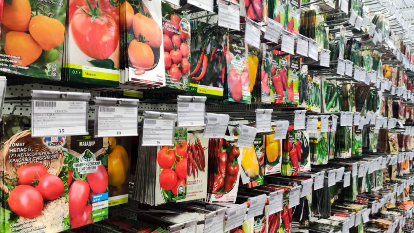 Упаковки семян томатов и перца крупным планом на витрине
