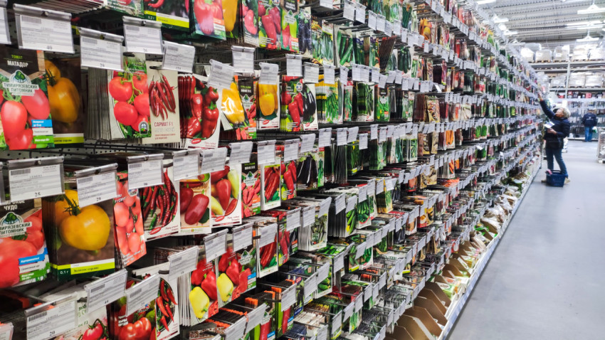 Стеллаж с семенами овощей и покупатель в садовом отделе