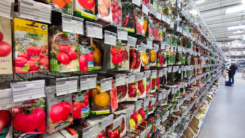 Семена томатов и других овощей на витрине садового магазина