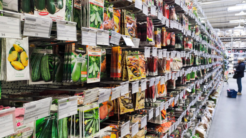 Ряд семян овощей и бахчевых культур в магазине