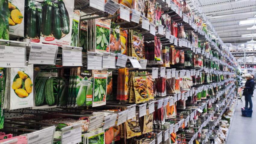 Стеллаж с семенами овощей и грибов в садовом отделе