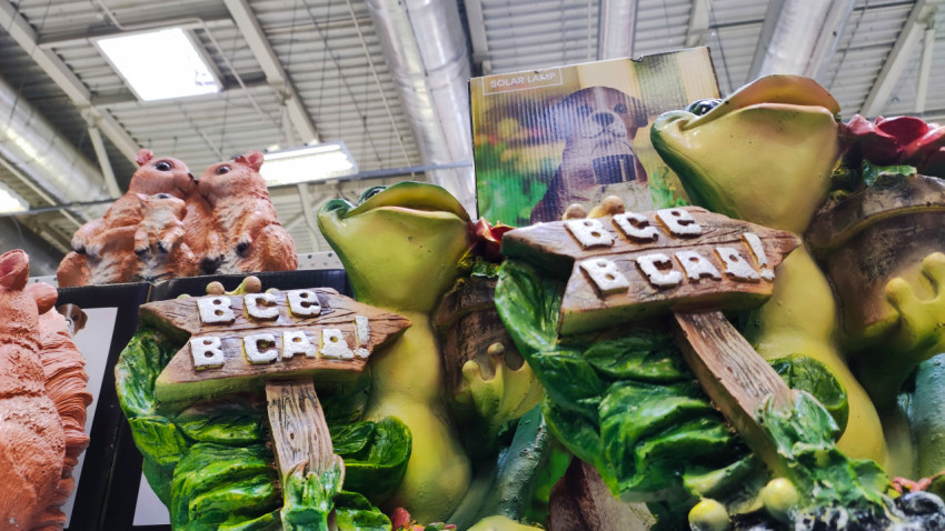 Лягушки с декоративными табличками на полке садового отдела