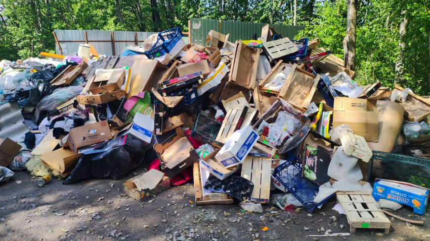 Скопление деревянных ящиков и упаковочных отходов на стихийной свалке