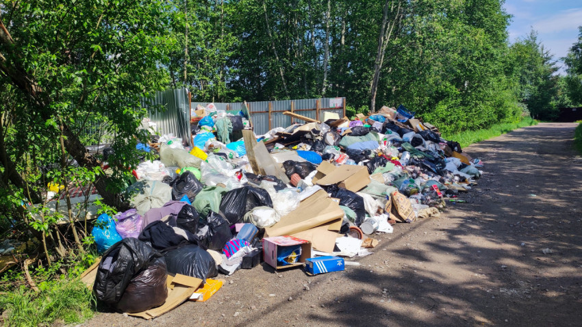 Свалка бытовых отходов на обочине грунтовой дороги