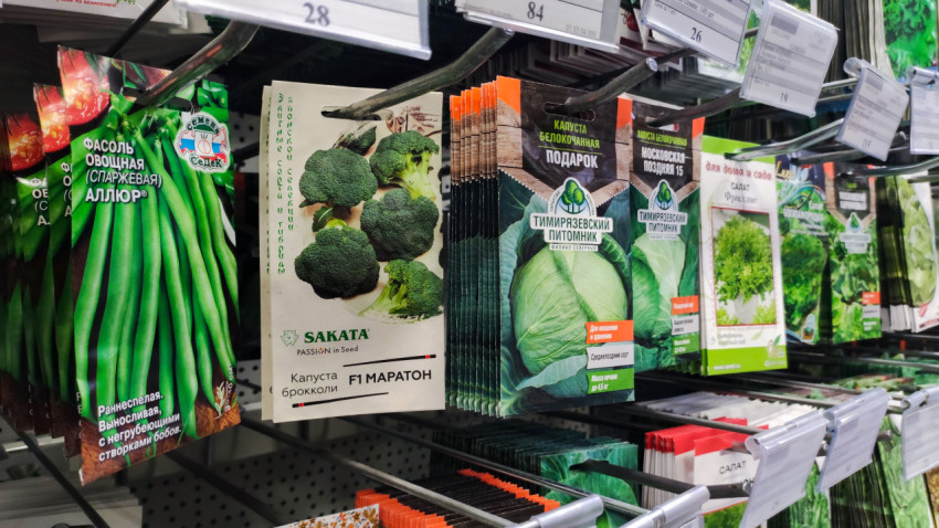 Пакеты семян овощей на витрине магазина