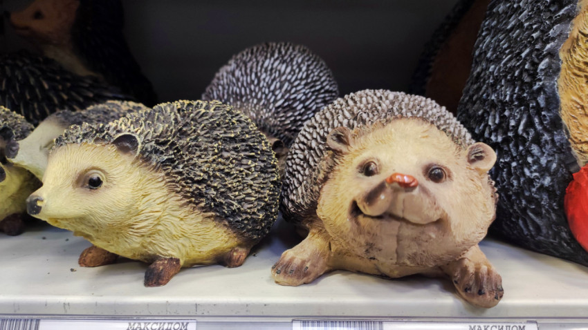 Декоративные садовые фигурки ёжиков на полке магазина