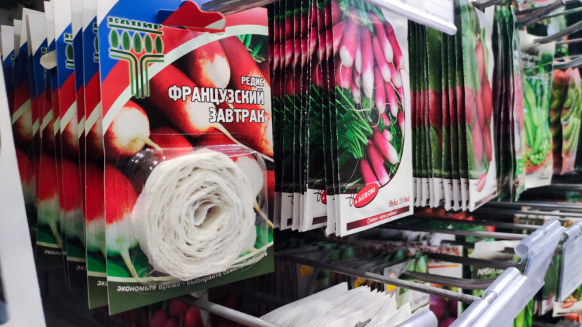 Пакеты семян редиса «Французский завтрак» на торговой витрине