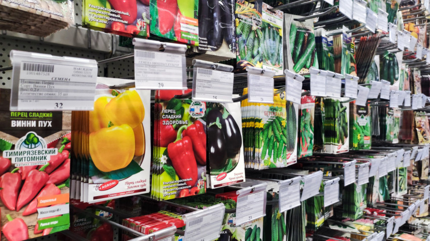 Пакеты семян овощных культур на витрине магазина