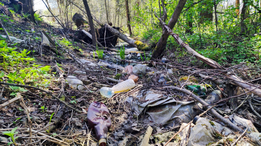Свалка пластиковых отходов среди лесной растительности